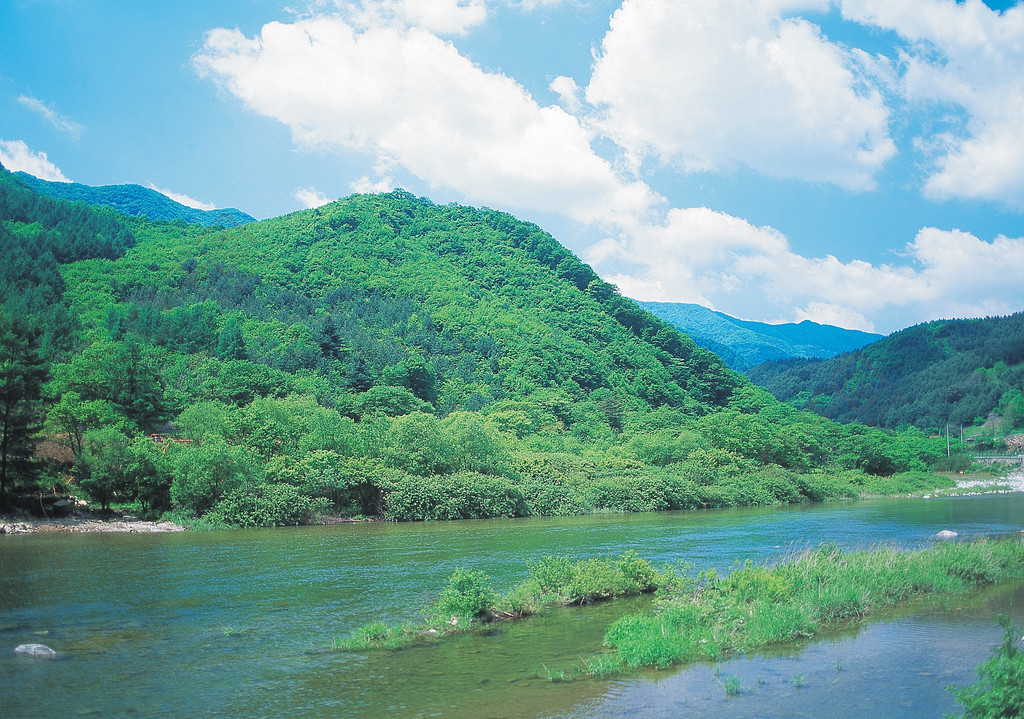 自然戶外野生山水風景環境天空山水樹沒有人寧靜的景色自然之美水平