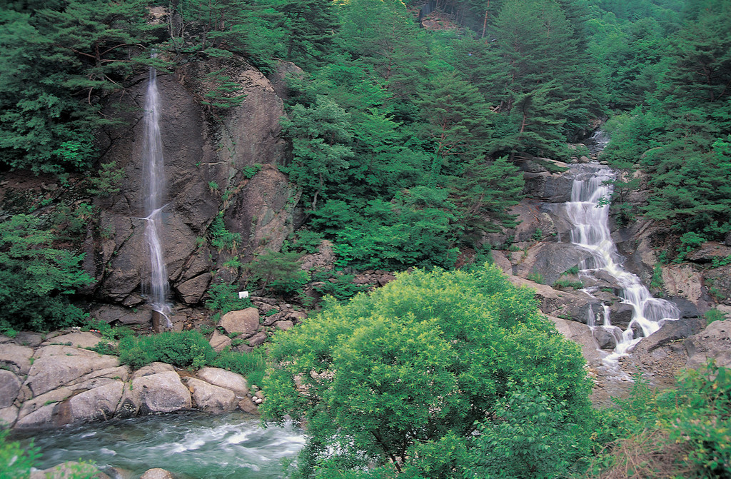 自然戶外白天樹木野地山水山水高山撇