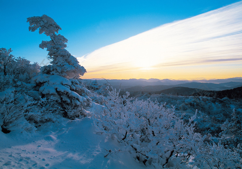 vrf协议作品标签白色冬天分支风景季节蓝色山视图树天空雪阳光阴影