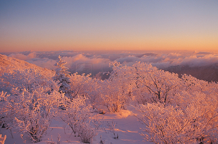 自然戶外高山冬季雪景覆蓋天空白天寒冷樹木沒有人自然之美彩色圖像