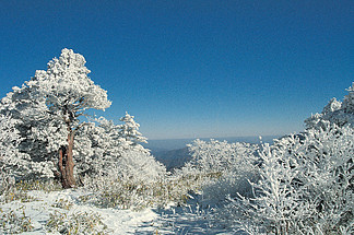 自然戶外高山冬季雪景覆蓋天空白天寒冷樹木沒有人自然之美彩色圖像