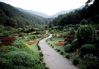 木本植物河道植物白色紅樹林平靜水體結構村莊船roc01414山景觀地質