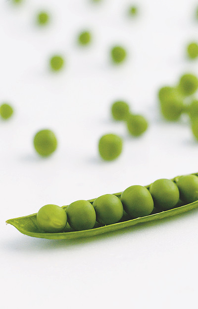 豌豆豆类绿色圆形农业蔬菜食品可食用可食用收获垂直无人彩色图像摄影