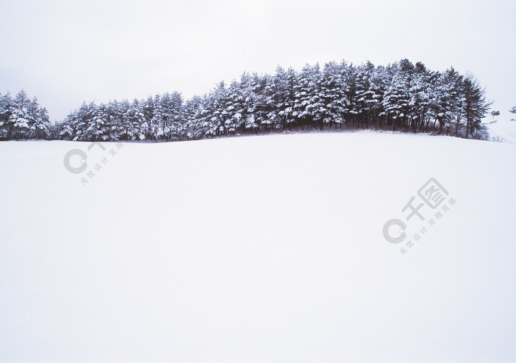 季節在戶外冬天白天陽光場雪白色天空視圖風景寒冷