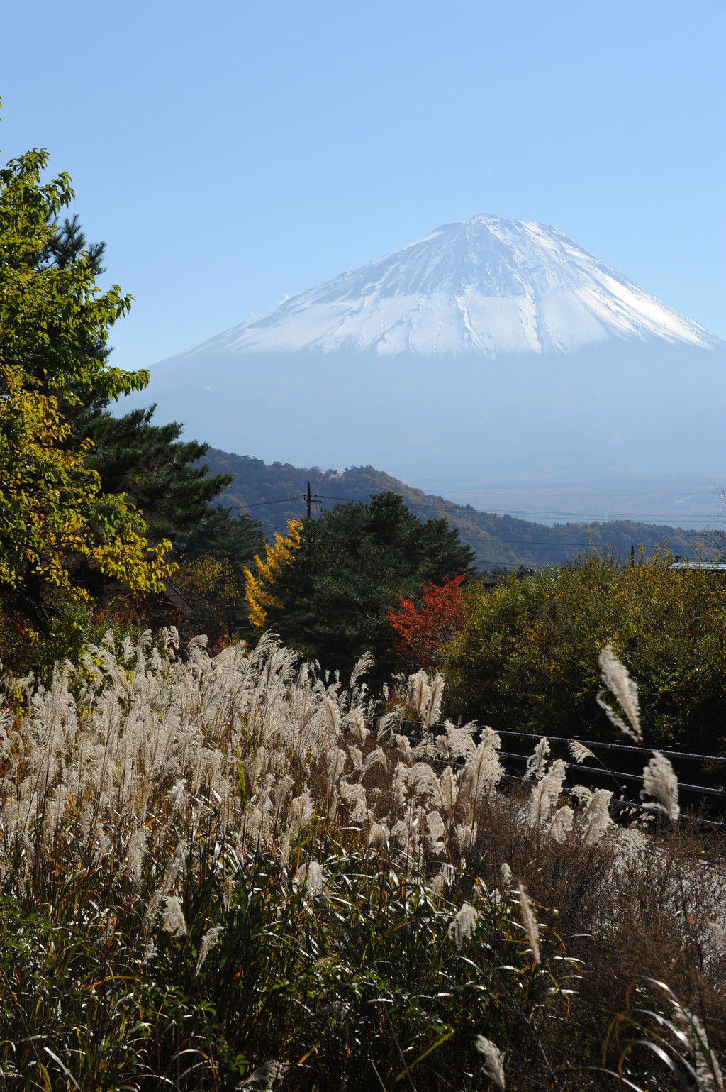 日本山梨縣西湖いやしの里根場