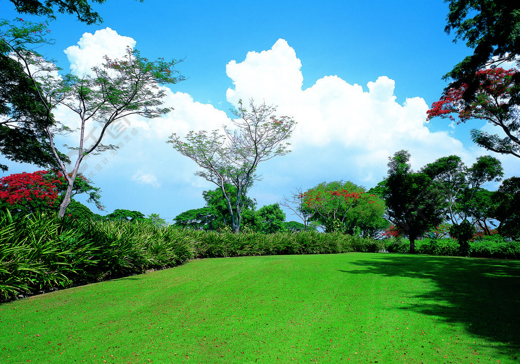 戶外當然公園季節草甸充滿陽光的城市國家風景花園洞草坪農場森林環境