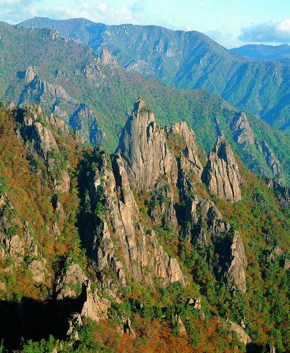 地質形成峰值風景樹自然海拔風景石頭森林雲旅遊懸崖峽谷高在戶外野外