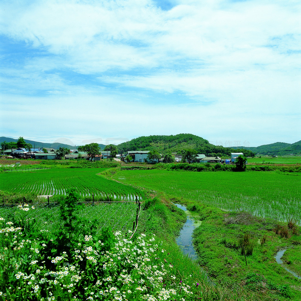 戶外草甸彈簧石牆季節字段高原樹木風景風光豆雲收穫旅遊農田雲森林