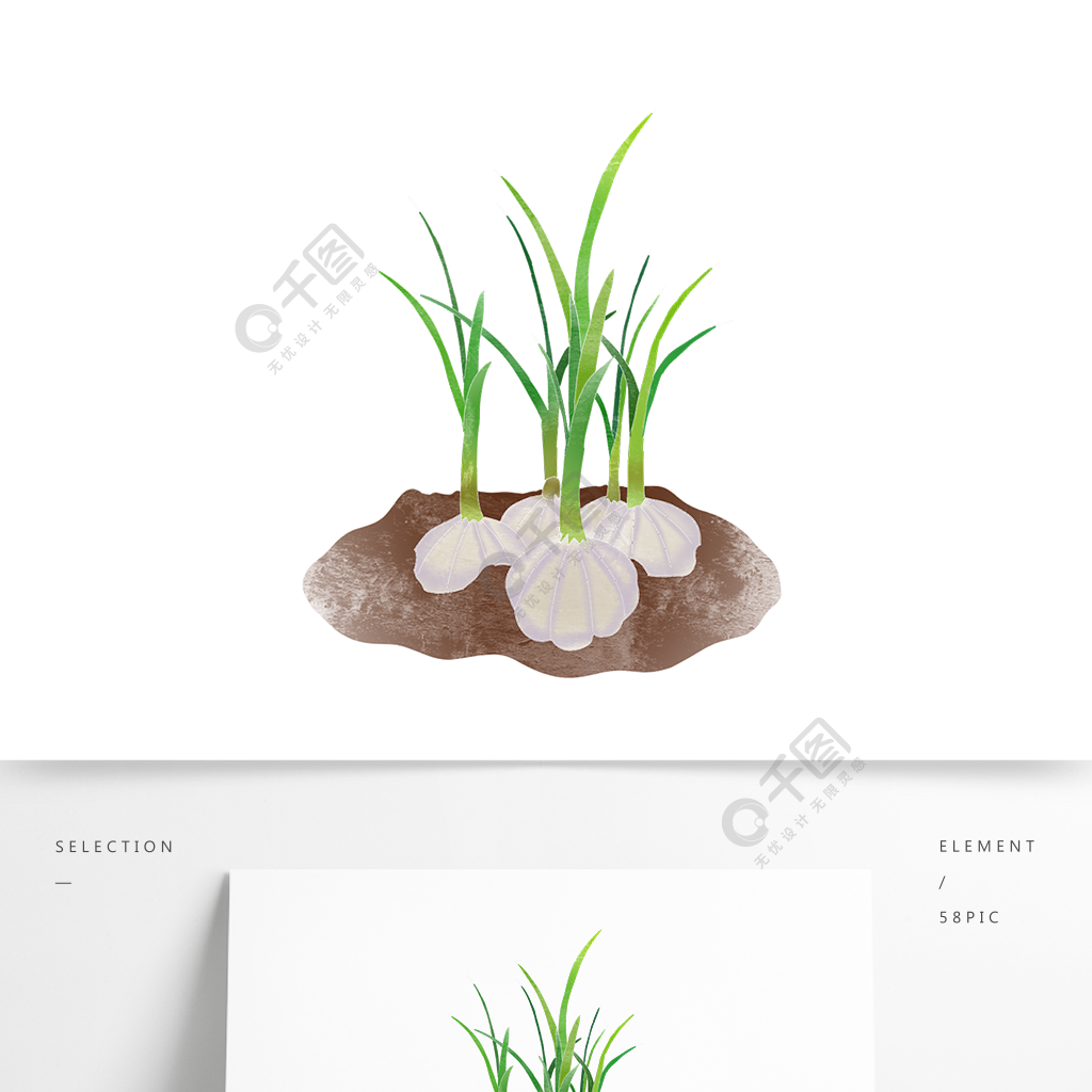 盆栽大蒜的画图片