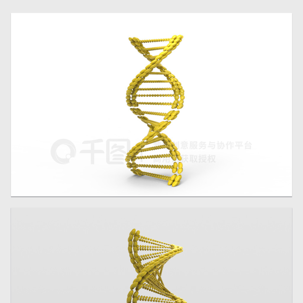 DNA˫C4Dģ