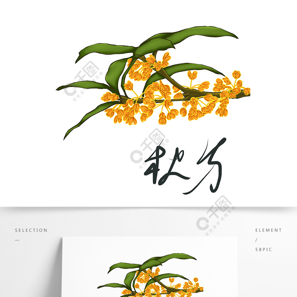 桂花图片手绘(桂花图片手绘 插图)