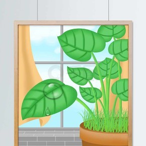 植物滴水观音场景插画