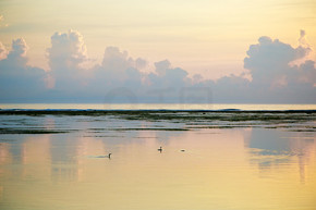 泰国海边日出海鸟逆光美景