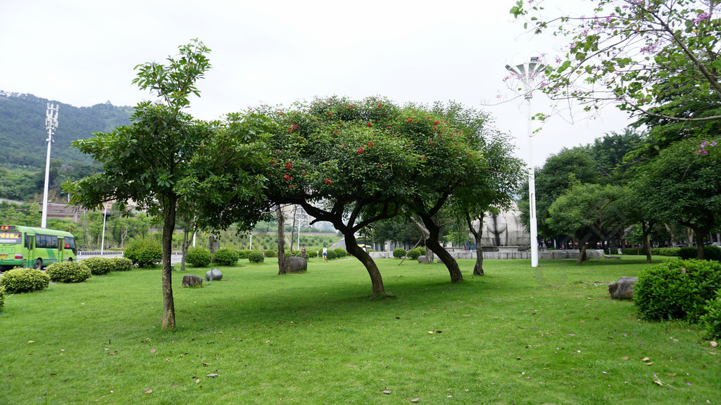 公園一角綠植草地