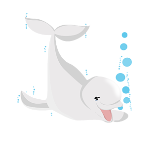 手绘海洋生物动物可爱白鲸