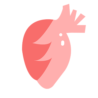 卡通手绘人体内脏心脏插画