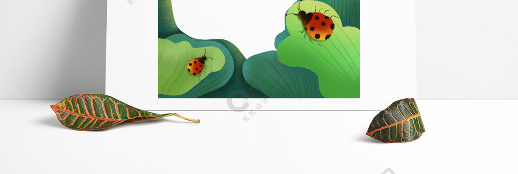 甲虫惊蛰植物昆虫绿叶