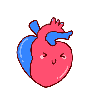 卡通手绘内脏心脏插画