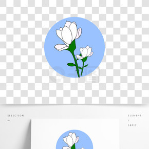 白玉兰ai免扣素材手绘风花朵之白玉兰卡通花卉白玉兰元素白玉兰花花卉