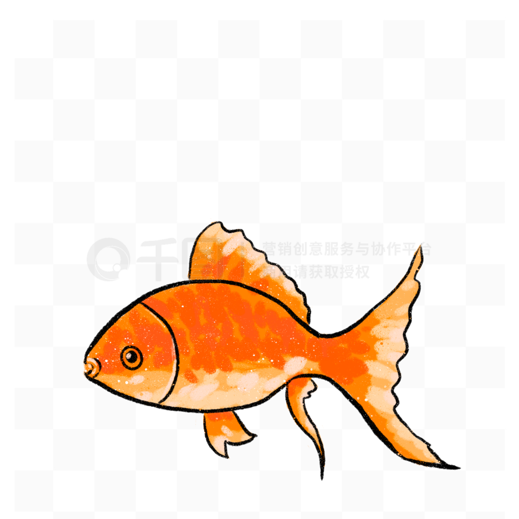 ֻͨ廭fish