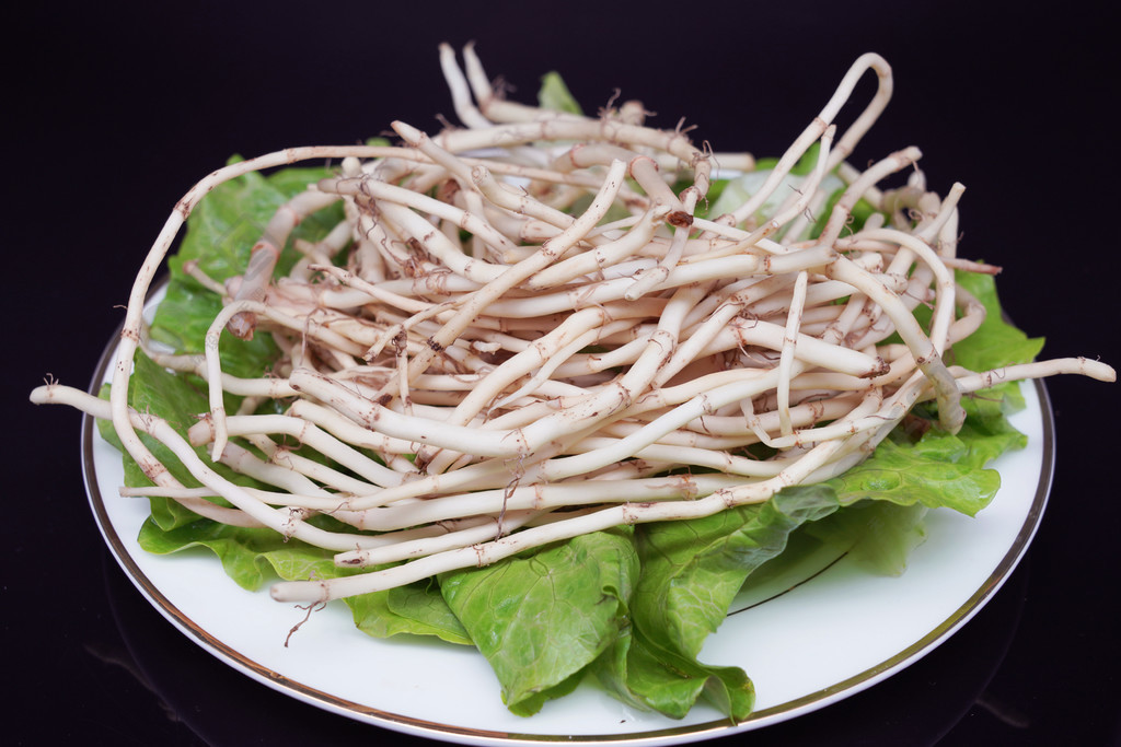 新鮮魚腥草野生魚腥草草藥