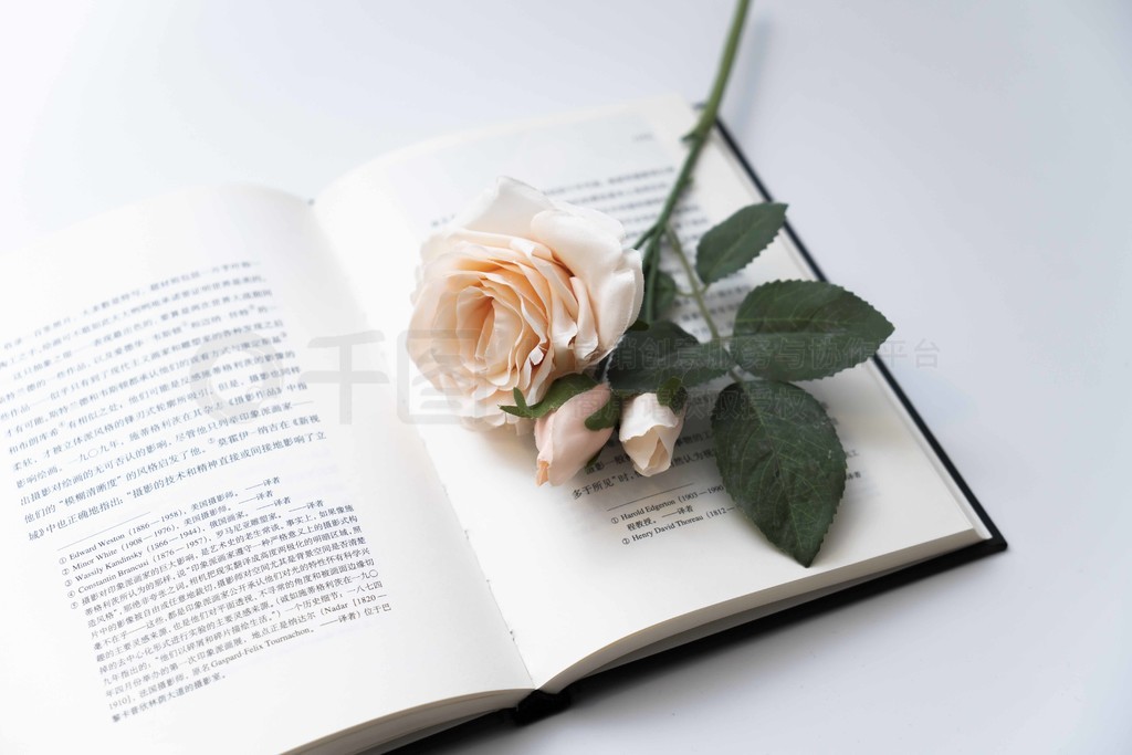 一本书与花的唯美图片图片