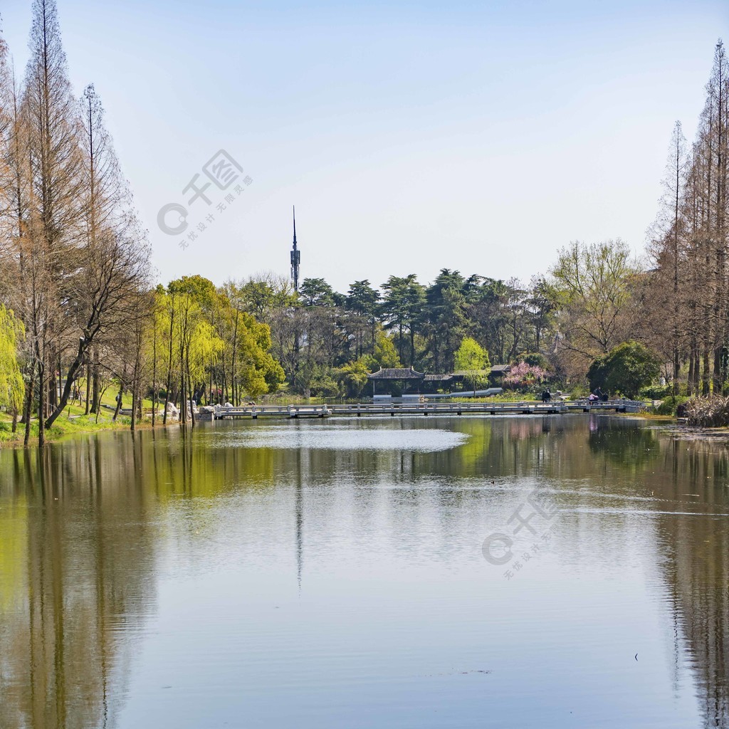 公園湖面美景春天初春