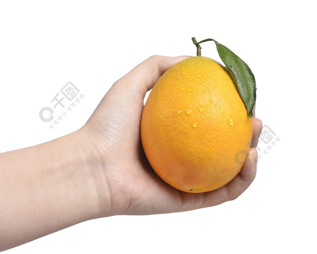 食品生鲜水果脐橙橙子摄影图