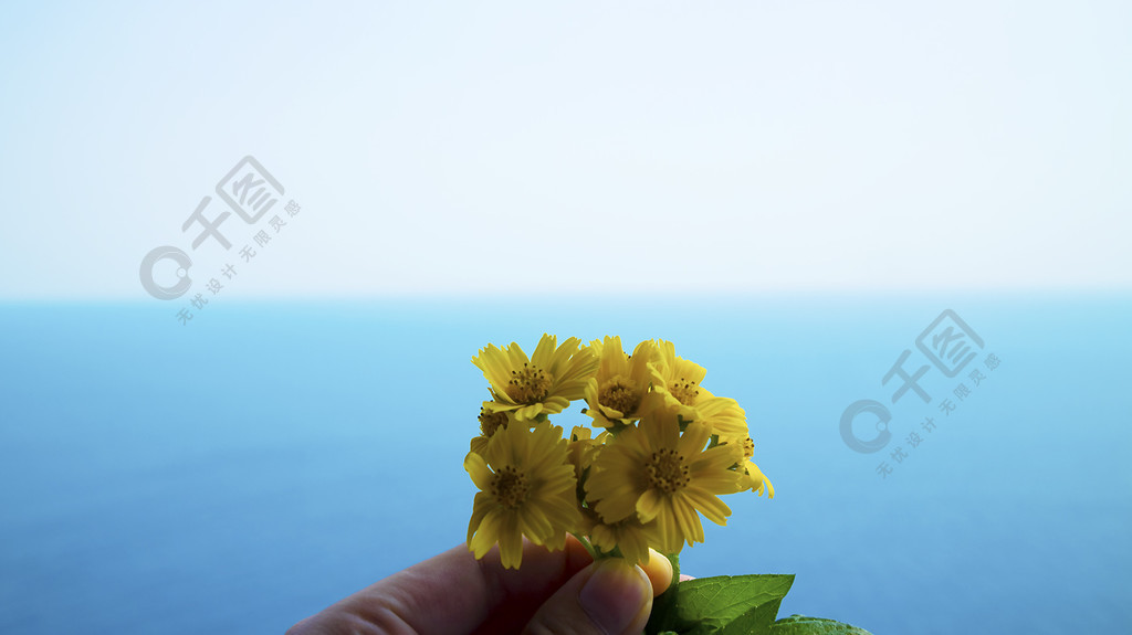 海边手拿花的图片唯美图片