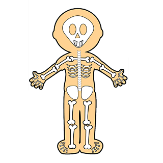 儿童身体骨骼图卡通图片