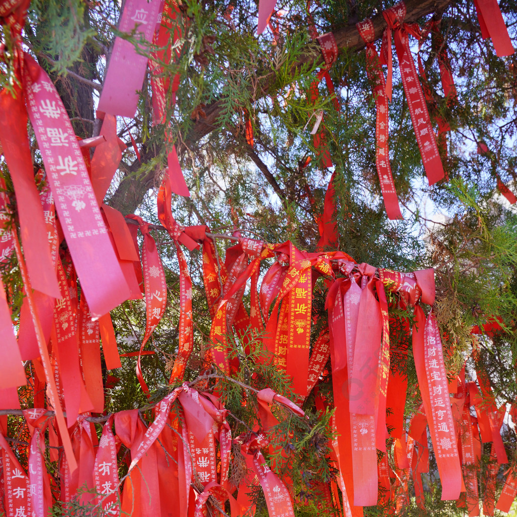 許願樹祈福祈禱祝福許願