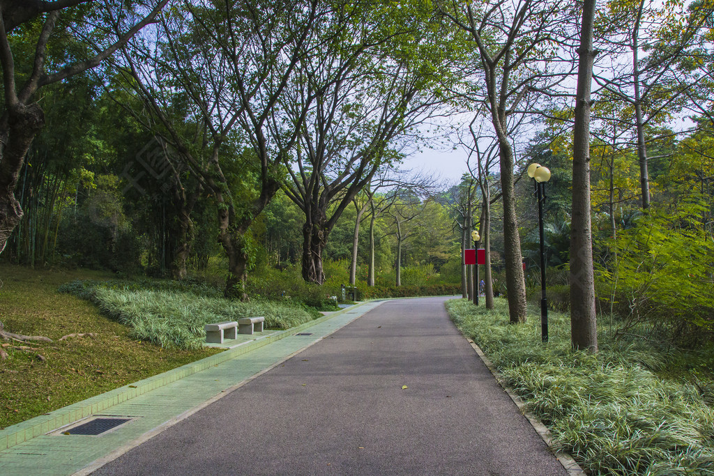 风景摄影素材公园里的道路