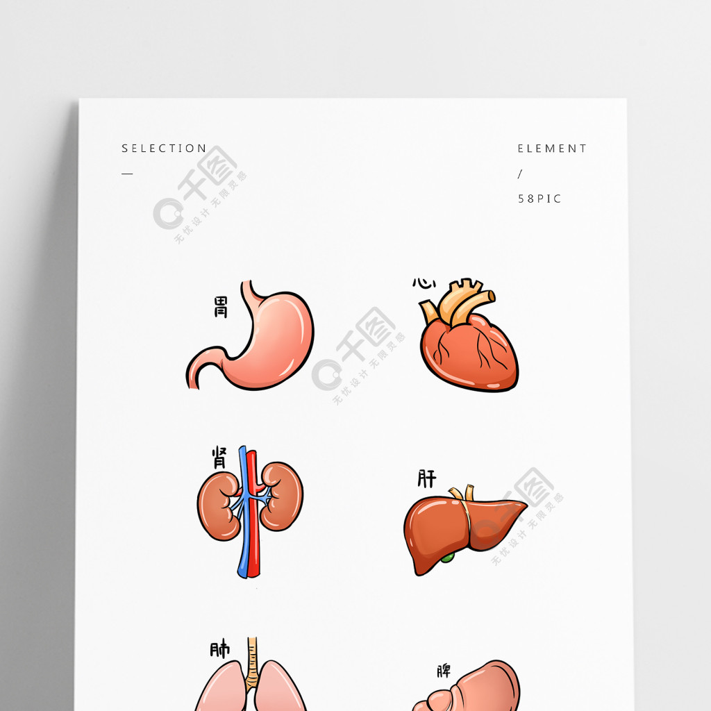 手繪卡通彩色人體臟器1年前發佈