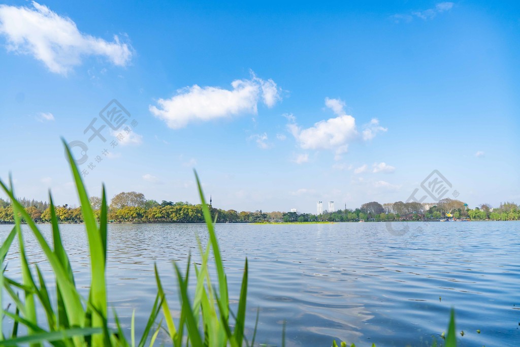 藍天白雲湖水水草