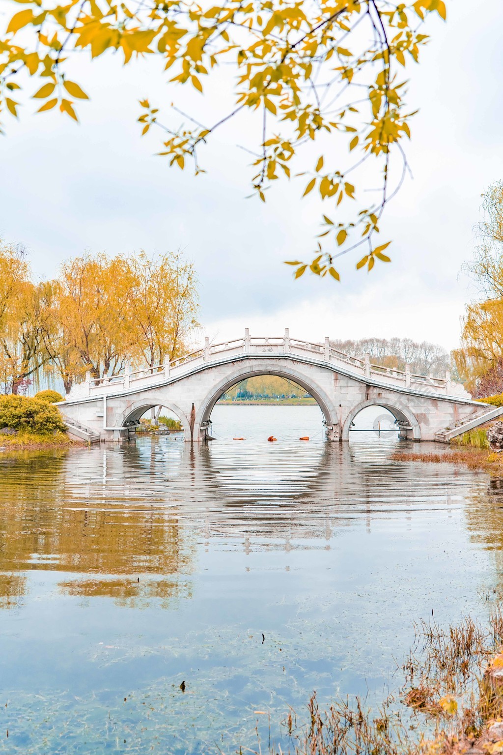 秋季植物金色湖水倒影石桥拱桥