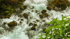 山间溪水流动的小溪很多鹅卵石植物山水自然