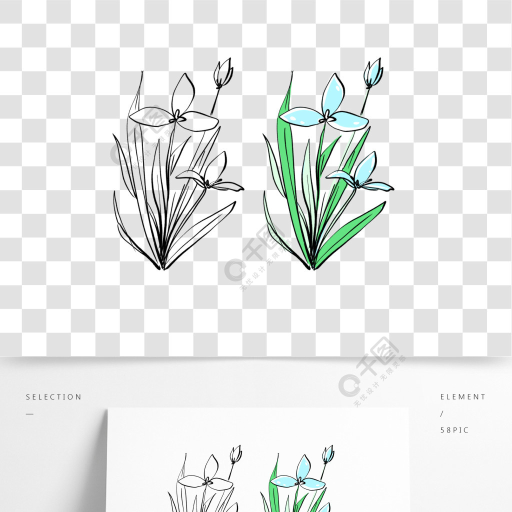 原創手繪兒童簡筆畫花朵淡藍色蘭草蘭花