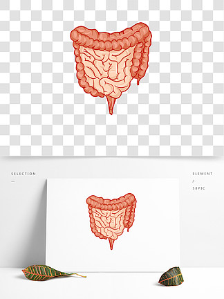 大腸卡通圖片-大腸素材下載-千圖網