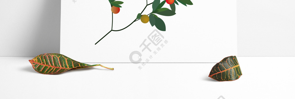 卡通手绘植物树枝红豆