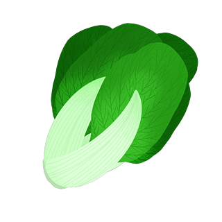 小白菜拟人蔬菜青菜白菜植物叶子食物figma清新渐变植物面性icon绿色