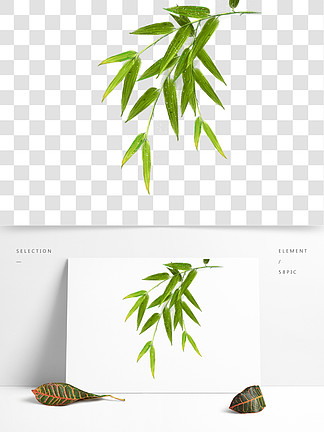 端午节清新竹叶手绘原创设计植物元素