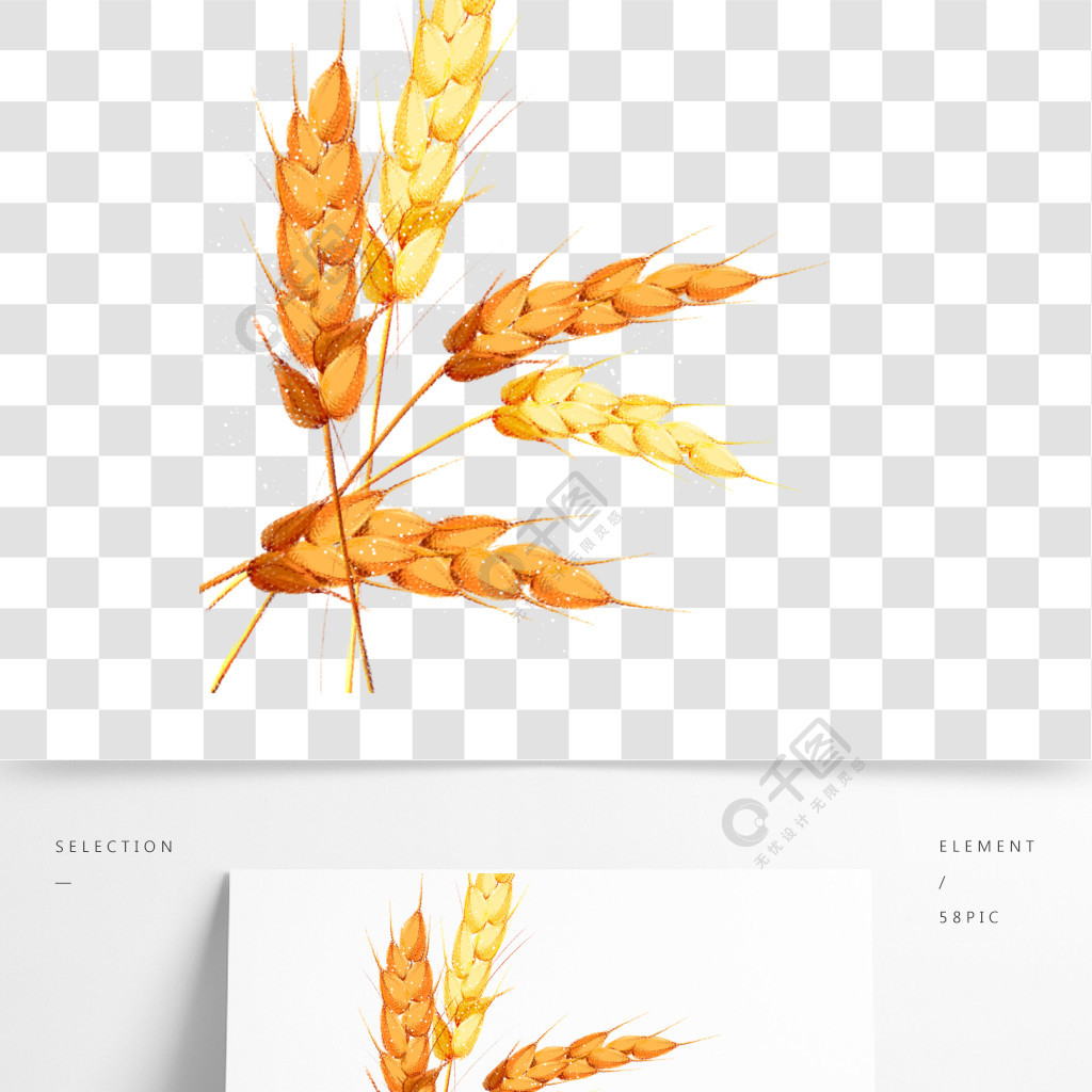 金黃麥田豐收的麥子原創手繪設計元素