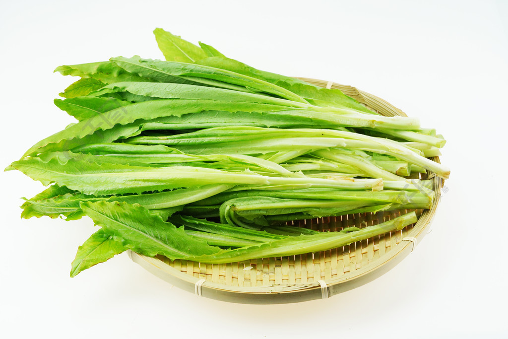 新鲜蔬菜油麦菜摄影图
