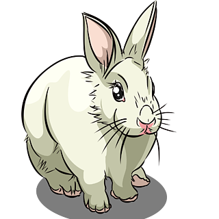 兔子耳朵类型图片