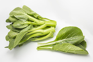绿色蔬菜图片素材