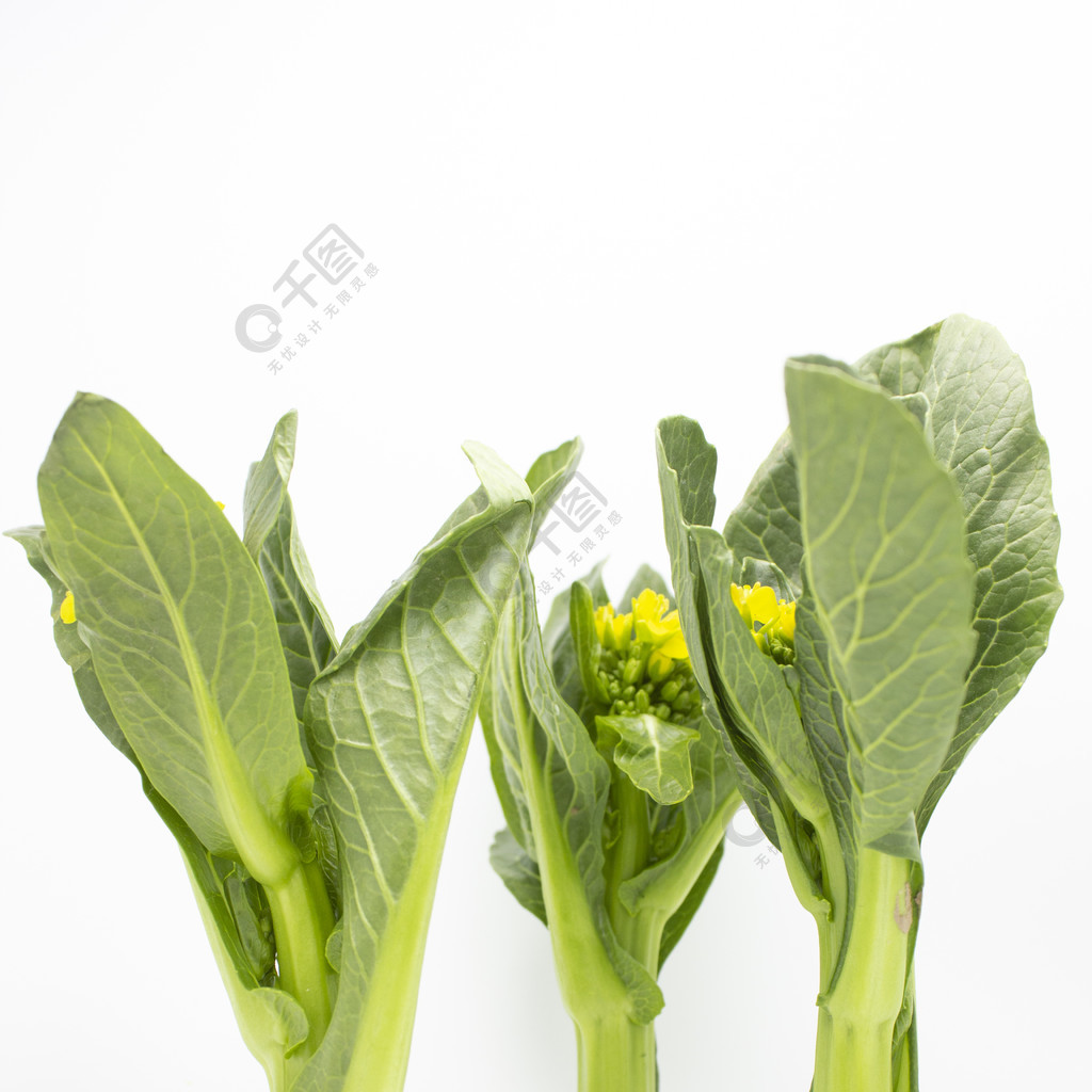 创意蔬菜图片素材