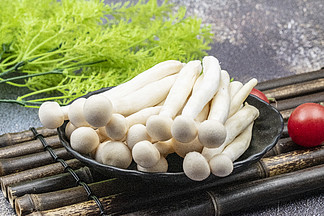 白玉菇蘑菇摄影图素材
