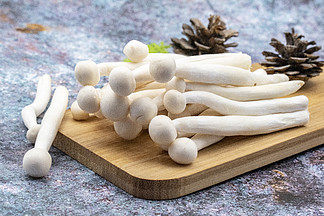 蔬菜蘑菇高清摄影图素材