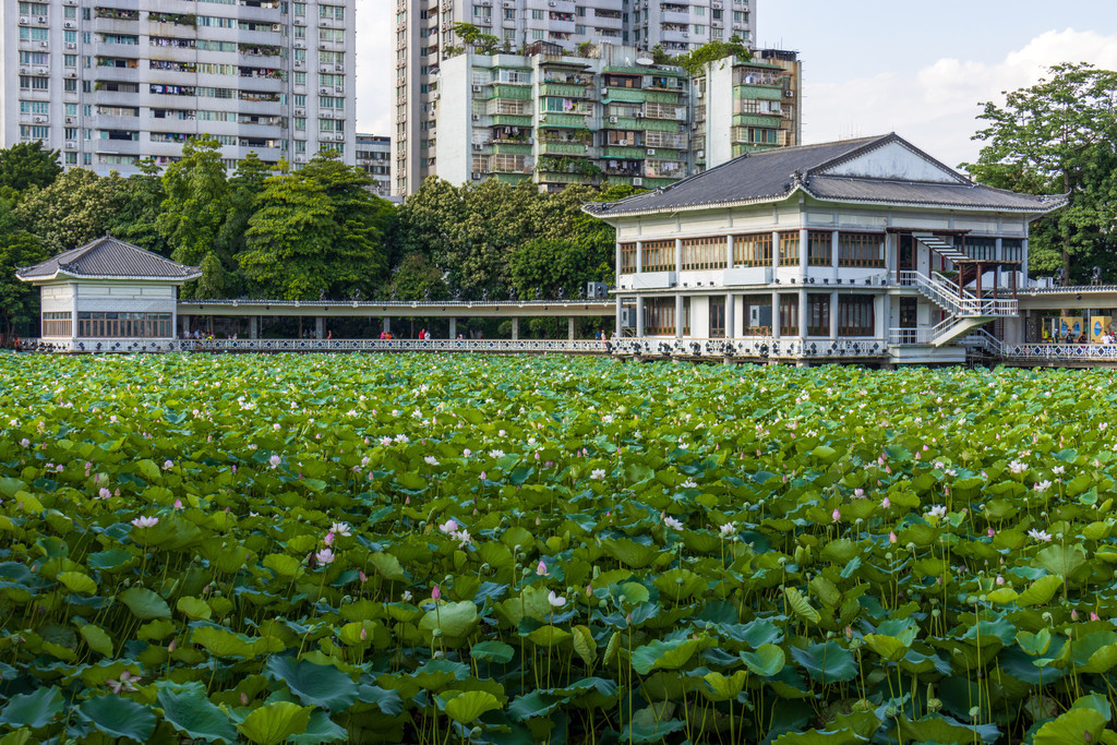 荔湾湖公园的路线图图片