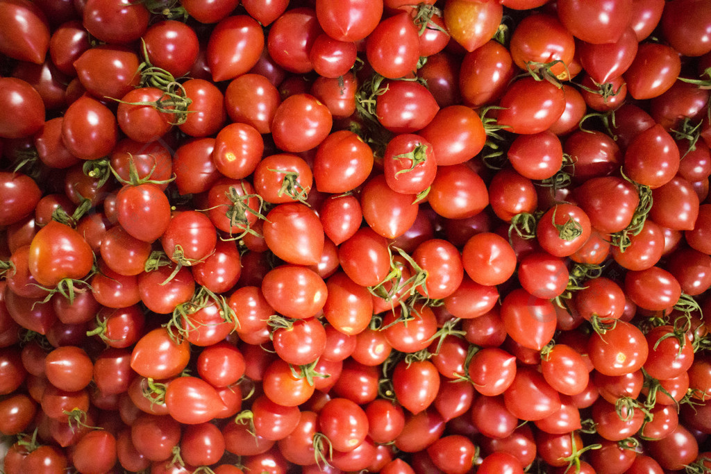 小番茄千玺柿子满铺高清背景图片